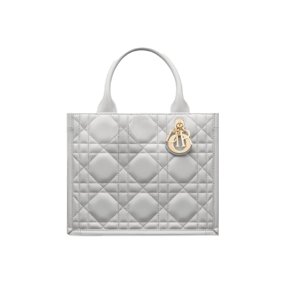 Dior Book Tote