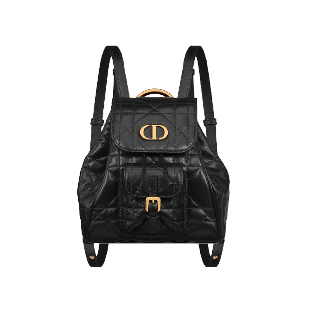 Small Dior Caro BackPack